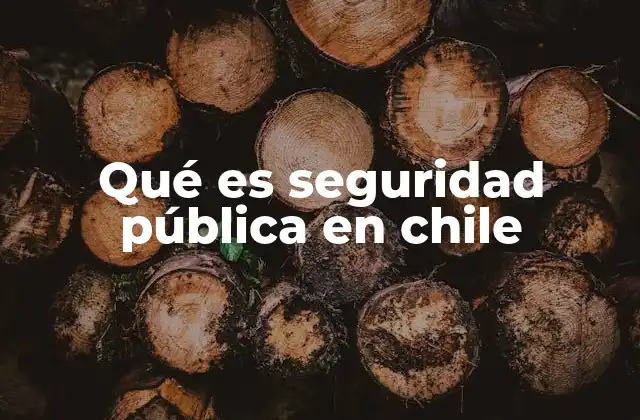 Qué es Seguridad Pública en Chile