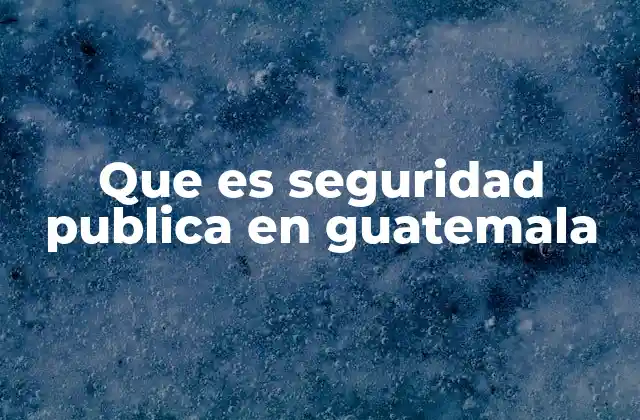 Que es Seguridad Publica en Guatemala