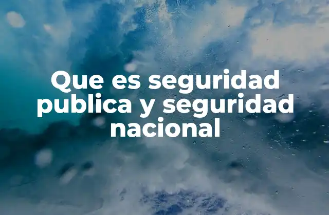 Que es Seguridad Publica y Seguridad Nacional