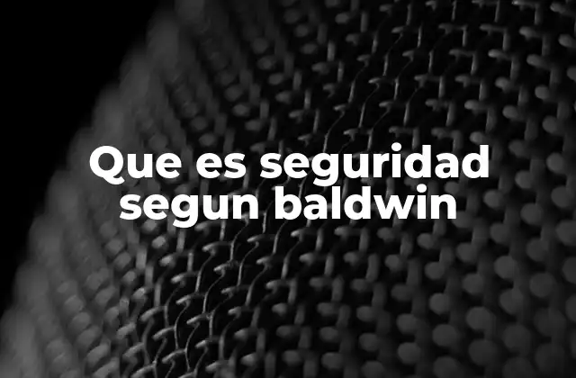 Que es Seguridad Segun Baldwin