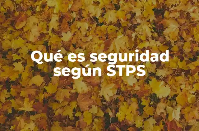 Qué es Seguridad según Stps
