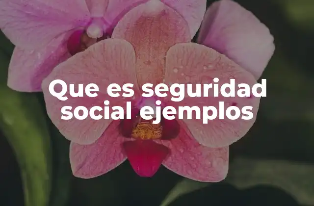 Que es Seguridad Social Ejemplos