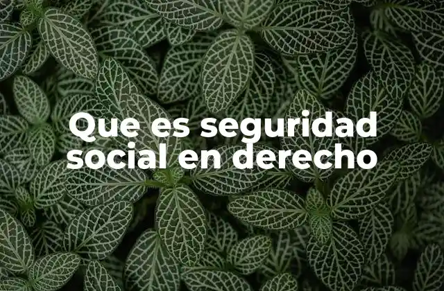 Que es Seguridad Social en Derecho