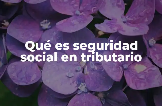 Qué es Seguridad Social en Tributario