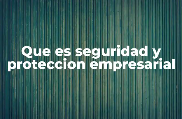 Que es Seguridad y Proteccion Empresarial
