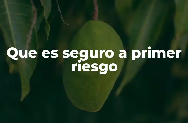 Que es Seguro a Primer Riesgo