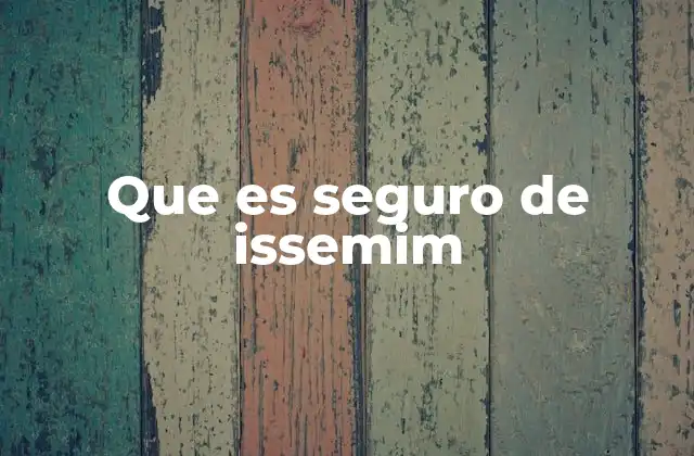 Que es Seguro de Issemim