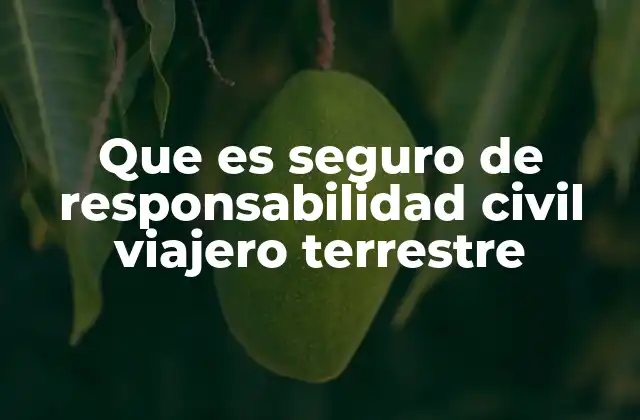 Que es Seguro de Responsabilidad Civil Viajero Terrestre
