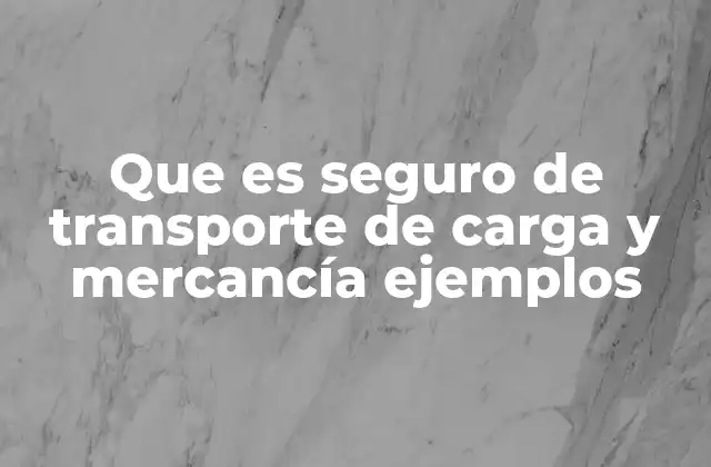 Que es Seguro de Transporte de Carga y Mercancía Ejemplos