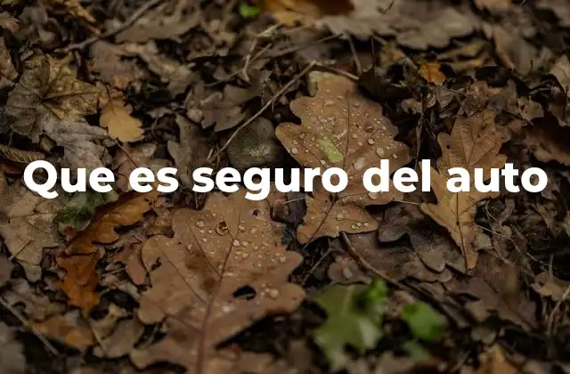 Que es Seguro Del Auto
