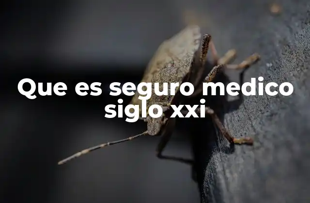 Que es Seguro Medico Siglo Xxi