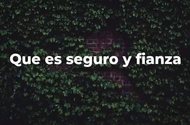 Que es Seguro y Fianza