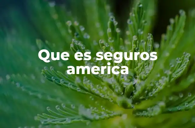 Que es Seguros America