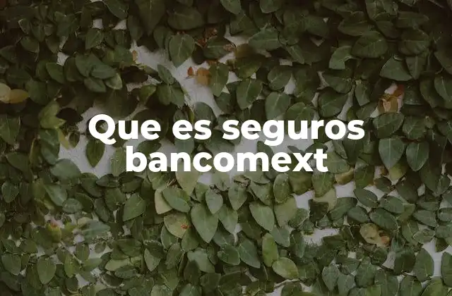 Que es Seguros Bancomext
