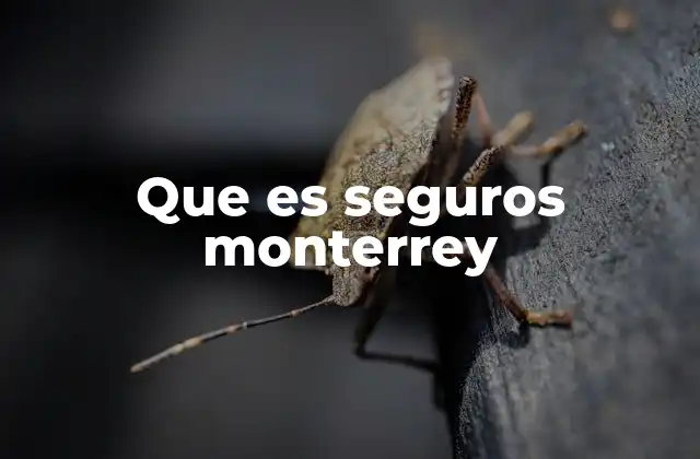Que es Seguros Monterrey