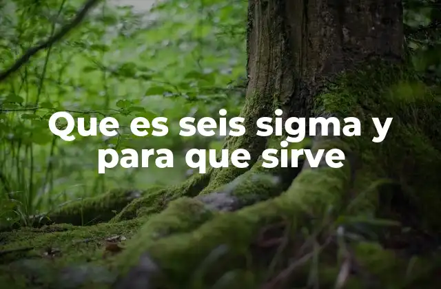 Que es Seis Sigma y para que Sirve