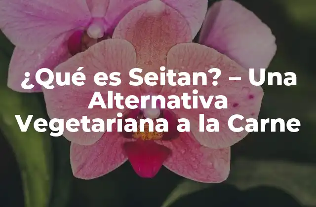 ¿qué es Seitan? – una Alternativa Vegetariana a la Carne