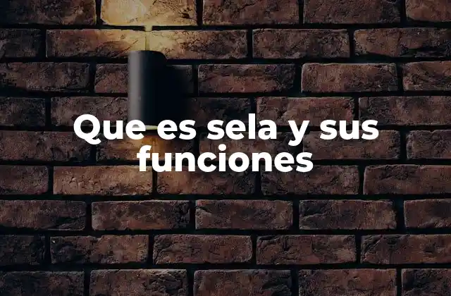 El papel de SELinux en la seguridad informática