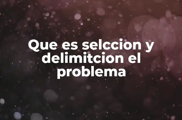 Que es Selccion y Delimitcion el Problema