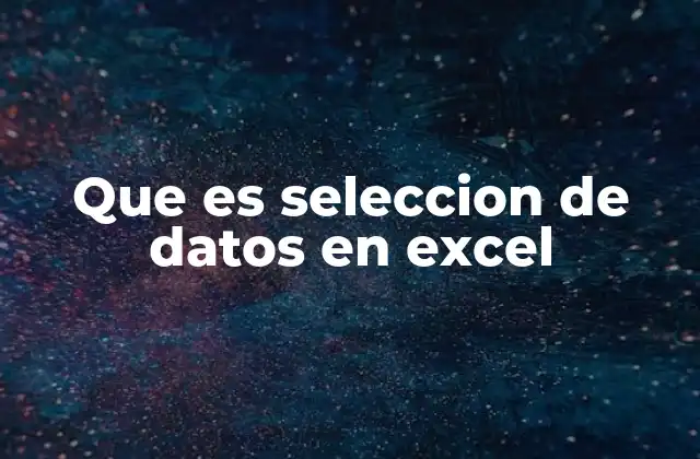 Que es Seleccion de Datos en Excel
