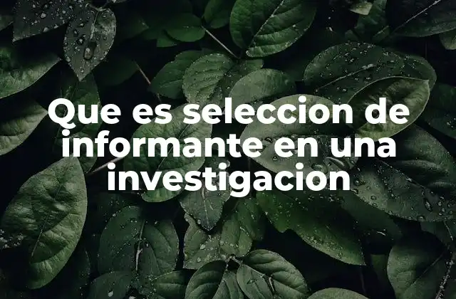 Que es Seleccion de Informante en una Investigacion