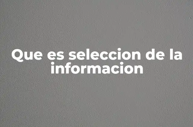 Que es Seleccion de la Informacion