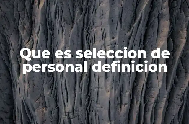 Que es Seleccion de Personal Definicion