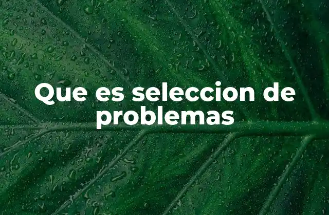 Que es Seleccion de Problemas