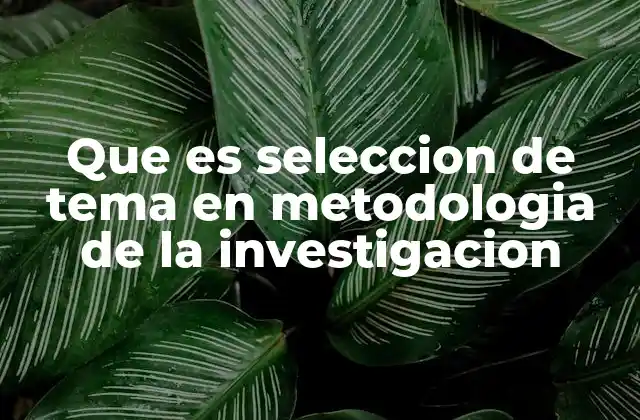Que es Seleccion de Tema en Metodologia de la Investigacion