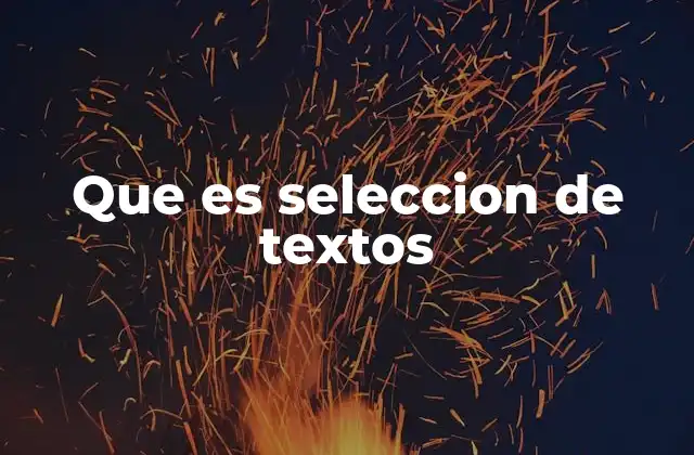Que es Seleccion de Textos