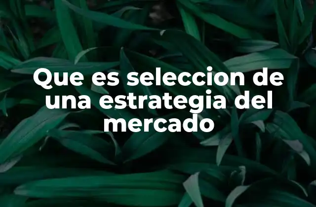 Que es Seleccion de una Estrategia Del Mercado
