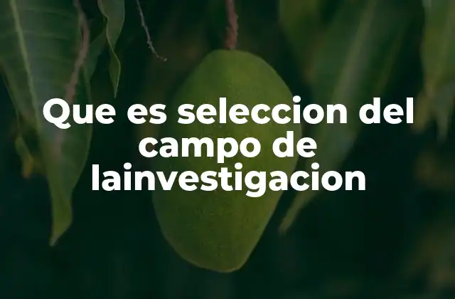 Que es Seleccion Del Campo de Lainvestigacion 2 Cómo elegir el campo de estudio más adecuado