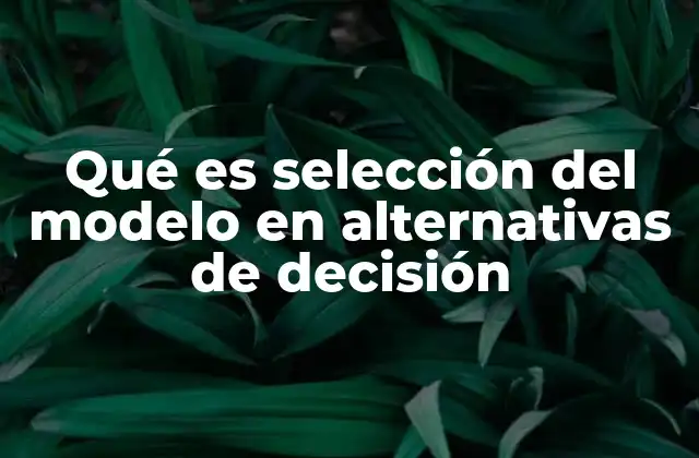 Qué es Selección Del Modelo en Alternativas de Decisión