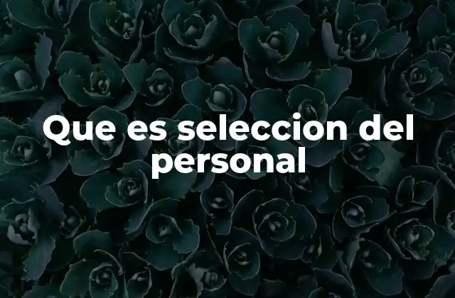 Que es Seleccion Del Personal