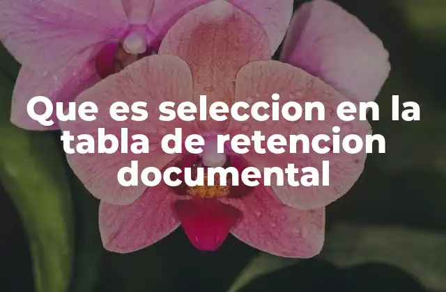 Que es Seleccion en la Tabla de Retencion Documental