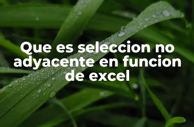 Que es Seleccion No Adyacente en Funcion de Excel