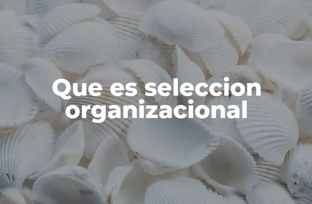 Que es Seleccion Organizacional 2 El impacto de una buena selección en la cultura organizacional
