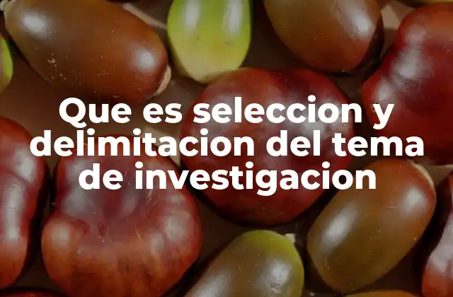 Que es Seleccion y Delimitacion Del Tema de Investigacion