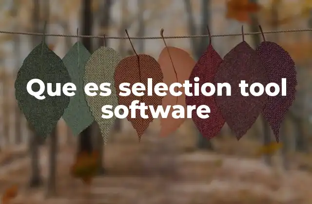 Cómo funciona una herramienta de selección en software de diseño