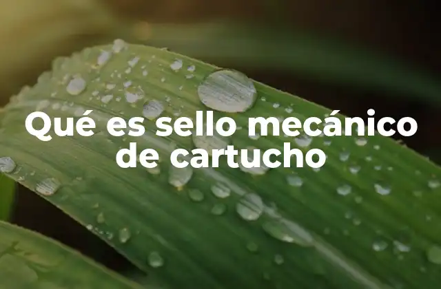Qué es Sello Mecánico de Cartucho