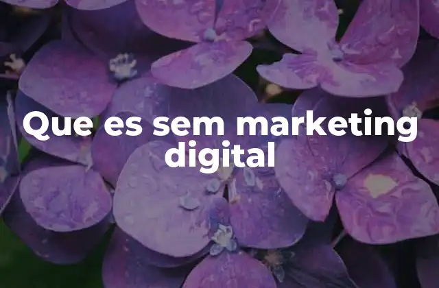 Que es Sem Marketing Digital