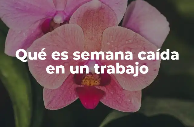 Qué es Semana Caída en un Trabajo