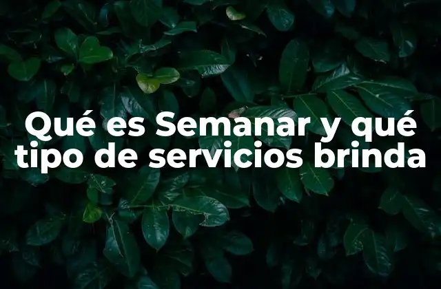 Qué es Semanar y Qué Tipo de Servicios Brinda