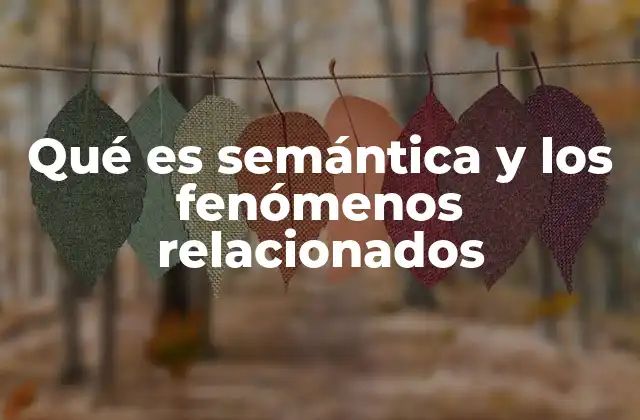 Qué es Semántica y los Fenómenos Relacionados