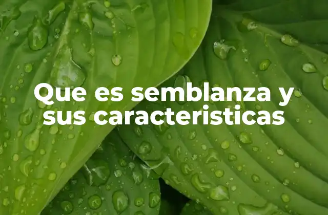 Que es Semblanza y Sus Caracteristicas 2 La importancia de la descripción en la literatura