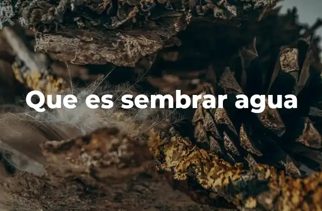 El arte de invertir en el futuro sin esperar retorno inmediato