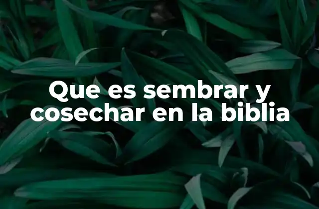 Que es Sembrar y Cosechar en la Biblia