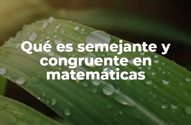 Qué es Semejante y Congruente en Matemáticas