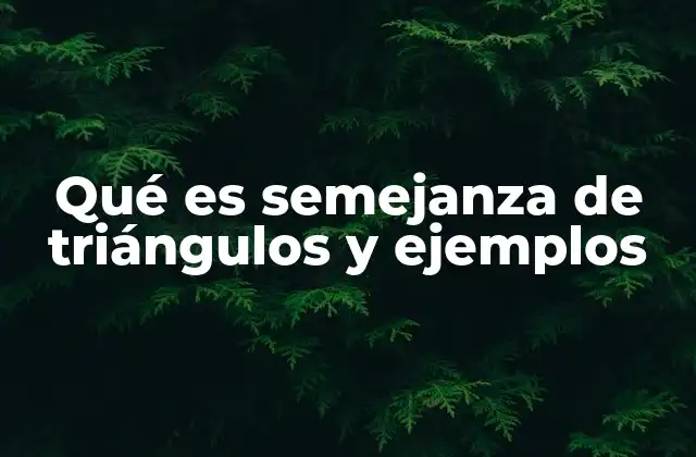 Qué es Semejanza de Triángulos y Ejemplos