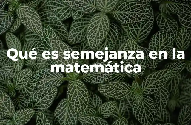 Qué es Semejanza en la Matemática